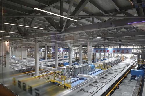 探秘新能源產業“超級工廠” 走進福建紫金鋰元，解碼材料科技與創新動能